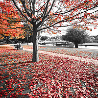 Buy canvas prints of Bedford in Autumn by Graham Custance