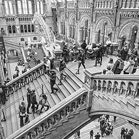 Buy canvas prints of Natural History Museum by Graham Custance