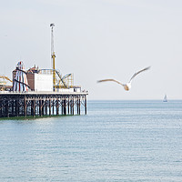 Buy canvas prints of Brighton Palace Pier by Graham Custance