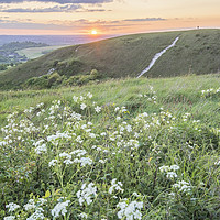Buy canvas prints of Dunstable Downs Sunset by Graham Custance