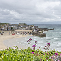Buy canvas prints of St Ives by Graham Custance