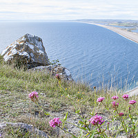 Buy canvas prints of Chesil Beach by Graham Custance