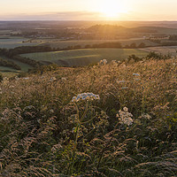 Buy canvas prints of Dunstable Downs Sunset by Graham Custance