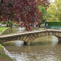 Buy canvas prints of Bourton on the Water  by Graham Custance