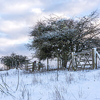 Buy canvas prints of Ivinghoe Beacon in Winter by Graham Custance