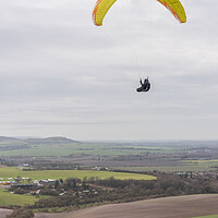 Buy canvas prints of Paragliding at Dunstable Downs  by Graham Custance