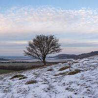Buy canvas prints of Ivinghoe Beacon  by Graham Custance