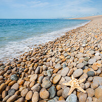 Buy canvas prints of Majestic Chesil Beach Landscape by Graham Custance