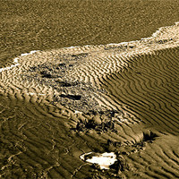 Buy canvas prints of Footprints in the sand by Thomas Lynch