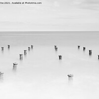 Buy canvas prints of Pier Stumps by Gary Horne