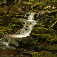 Buy canvas prints of Waterfall in Spring 2 by Darren Whitehead