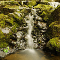 Buy canvas prints of Waterfall in Spring 7 by Darren Whitehead