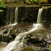 Buy canvas prints of Waterfall in Spring 9 by Darren Whitehead