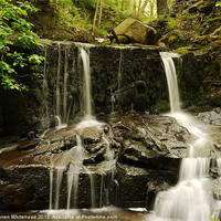 Buy canvas prints of Waterfall in Spring 11 by Darren Whitehead