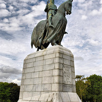 Buy canvas prints of Robert The Bruce by Neale Evison