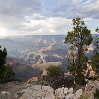 Buy canvas prints of Grand Canyon Evening by simon  davies