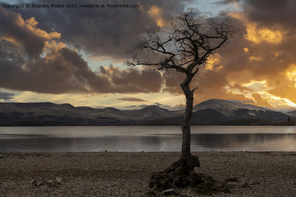 Milarrochy Bay sunset Picture Board by Graham Moore