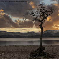 Buy canvas prints of Milarrochy Bay sunset by Graham Moore