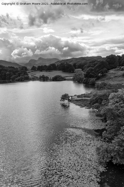 Loughrigg Tarn and the Langdale Pikes monochrome Picture Board by Graham Moore