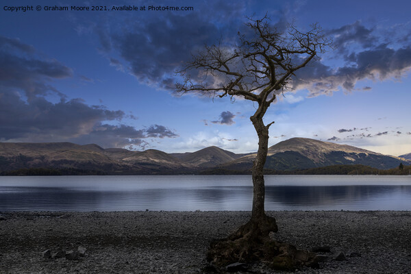 Milarrochy Bay blue hour Picture Board by Graham Moore