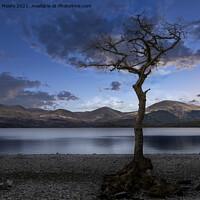 Buy canvas prints of Milarrochy Bay blue hour by Graham Moore