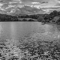 Buy canvas prints of Water lilies at Loughrigg Tarn monochrome by Graham Moore