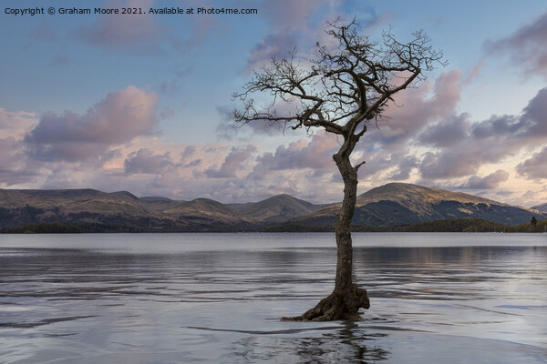 Milarrochy Bay high water sunset Picture Board by Graham Moore