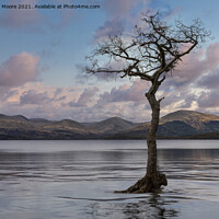 Buy canvas prints of Milarrochy Bay high water sunset by Graham Moore