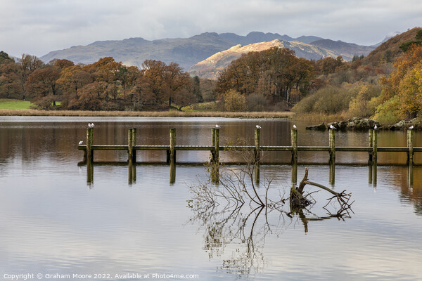Windermere early morning Picture Board by Graham Moore