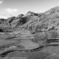 Buy canvas prints of Langdale Pikes hor mono by Graham Moore