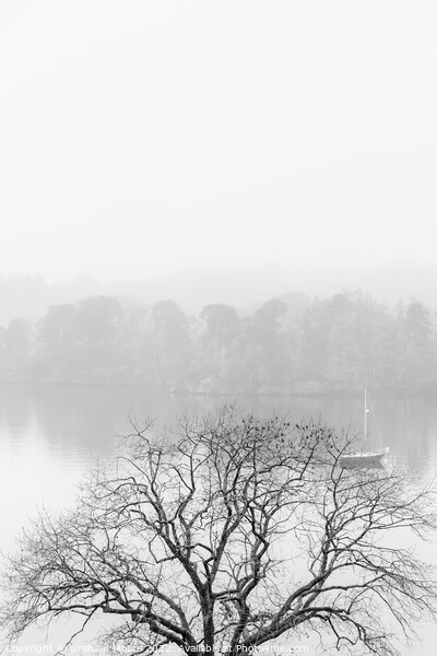 Windermere early morning mist Picture Board by Graham Moore