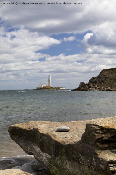 St Marys lighthouse from old hartley Picture Board by Graham Moore