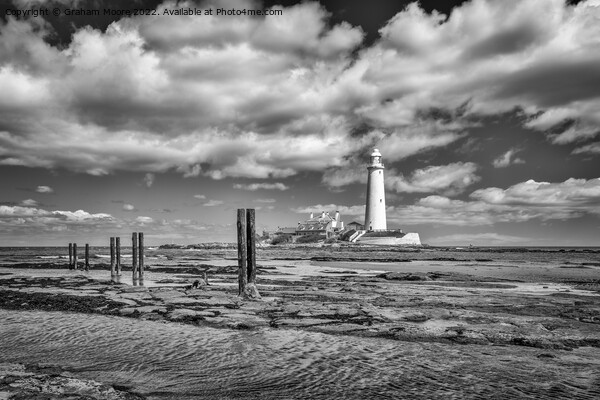 St Marys lighthouse and jetty posts monochrome Picture Board by Graham Moore