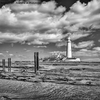 Buy canvas prints of St Marys lighthouse and jetty posts monochrome by Graham Moore