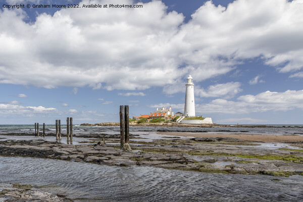 St Marys lighthouse and jetty posts Picture Board by Graham Moore