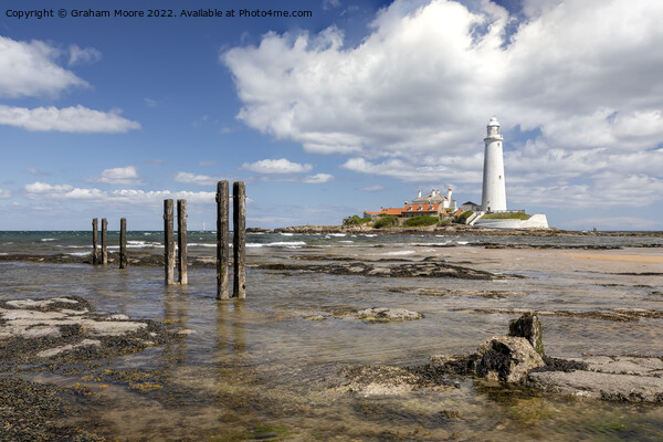 St Marys lighthouse Picture Board by Graham Moore