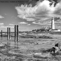 Buy canvas prints of St Marys lighthouse monochrome by Graham Moore