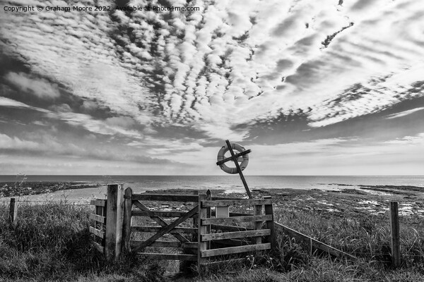 Beadnell Bay monochrome Picture Board by Graham Moore