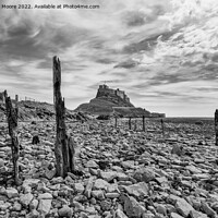 Buy canvas prints of lindisfarne castle from the rocky shore monochrome by Graham Moore
