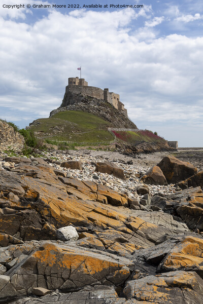 lindisfarne castle from the shore Picture Board by Graham Moore