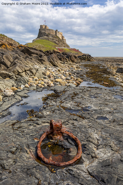 mooring ring at lindisfarne castle Picture Board by Graham Moore