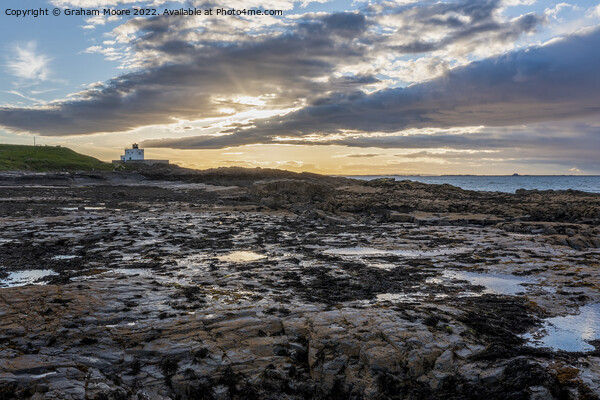 Bamburgh lighthouse from Harkness Rocks sunset Picture Board by Graham Moore