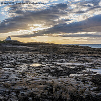 Buy canvas prints of Bamburgh lighthouse from Harkness Rocks sunset by Graham Moore