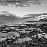 Buy canvas prints of Bamburgh Castle from Harkness Rocks dusk monochrome by Graham Moore