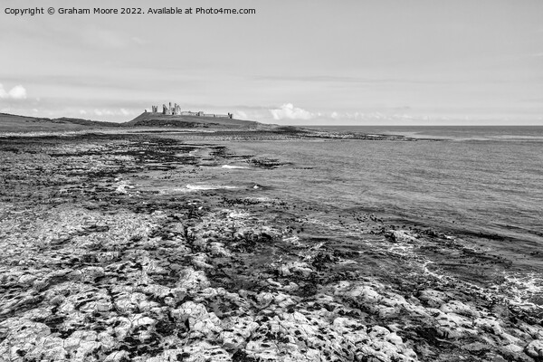 Dunstanburgh Castle from the south elevated monochrome Picture Board by Graham Moore