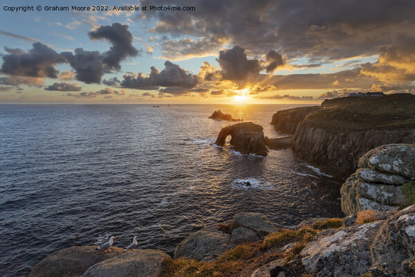 Lands End sunset with seabirds Picture Board by Graham Moore
