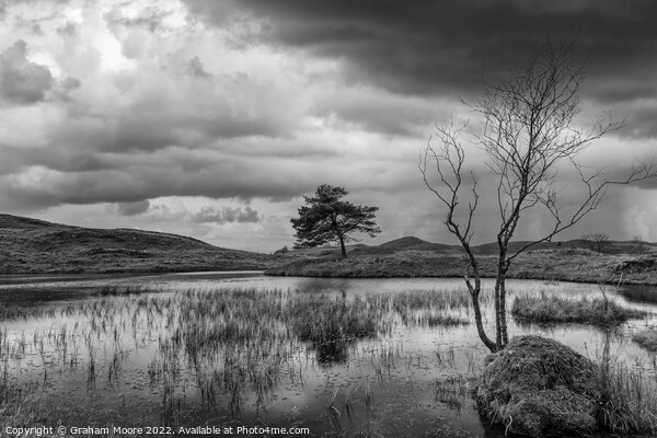 Kelly Hall Tarn monochrome Picture Board by Graham Moore