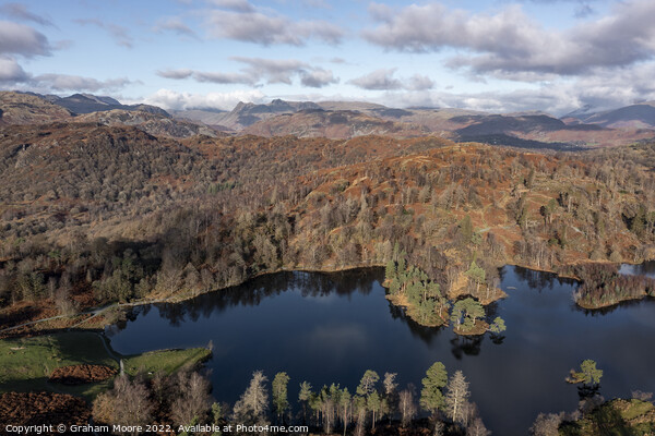 Tarn Hows and Langdale Pikes Picture Board by Graham Moore