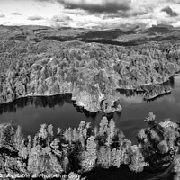 Buy canvas prints of Tarn Hows panorama monochrome by Graham Moore