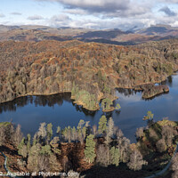 Buy canvas prints of Tarn Hows panorama by Graham Moore